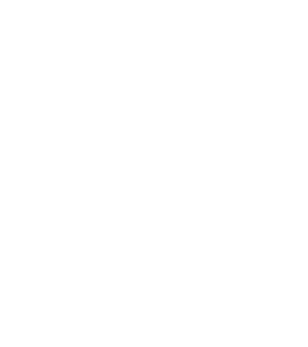 [lógó~-célt~ícs-w~híté~]